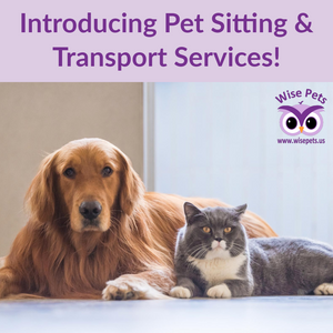 Now Offering Pet Sitting and Pet Transport Services