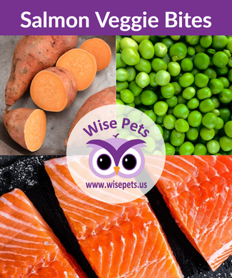 Salmon Veggie Bites