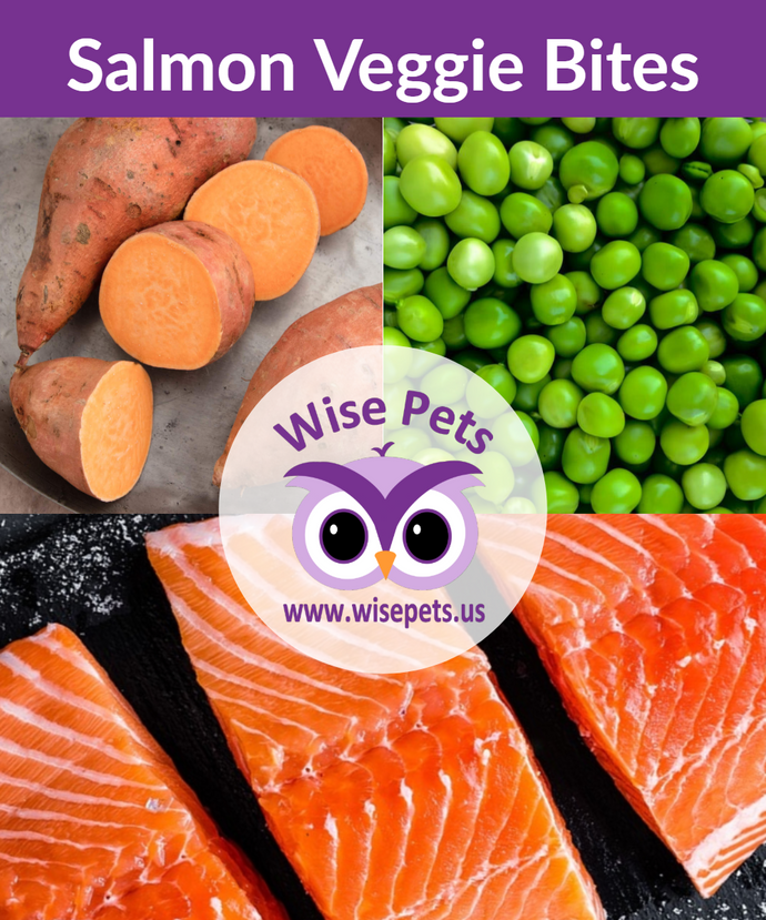 Salmon Veggie Bites - Mini Bag