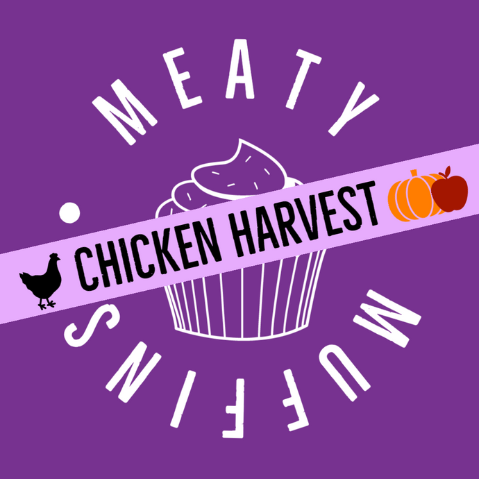 Meaty Muffins - Chicken Harvest